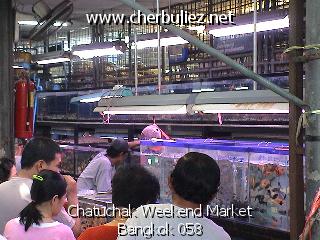 légende: Chatuchak Weekend Market Bangkok 058
qualityCode=raw
sizeCode=half

Données de l'image originale:
Taille originale: 171991 bytes
Temps d'exposition: 1/50 s
Diaph: f/240/100
Heure de prise de vue: 2002:12:21 13:16:08
Flash: non
Focale: 94/10 mm
